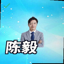 陈毅